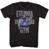 Image for Masters of the Universe T-Shirt - Eternia Gym