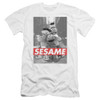 Image for Sesame Street Premium Canvas Premium Shirt - HBO 