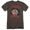 Image for Masters of the Universe Premium Canvas Premium Shirt - I Have the Power
