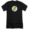 Image for Flash Premium Canvas Premium Shirt - Flash Logo