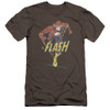 Image for Flash Premium Canvas Premium Shirt - Desaturated Flash