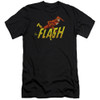Image for Flash Premium Canvas Premium Shirt - 8 Bit Flash