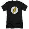 Image for Flash Premium Canvas Premium Shirt - FL Classic