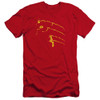 Image for Flash Premium Canvas Premium Shirt - Flash Min
