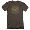 Image for Wonder Woman Premium Canvas Premium Shirt - Vintage Emblem