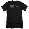 Harry Potter Premium Canvas Premium Shirt - Classic Logo