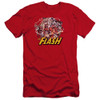 Justice League of America Premium Canvas Premium Shirt - Flash Family