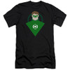 Green Lantern Premium Canvas Premium Shirt - Simple GL