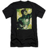 Green Lantern Premium Canvas Premium Shirt - Up Up