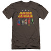 Justice League of America Premium Canvas Premium Shirt - Standing Below