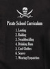 Closeup image for Pirate School Curriculum Hoodie