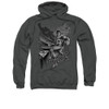 Image for Superman Hoodie - Fight And Flight