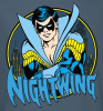 Image Closeup for Nightwing Girls Shirt