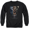 Batman v Superman Crewneck - 3 Phases