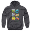 Image for Sesame Street Youth Hoodie - Group Squares