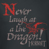 Image Closeup for The Hobbit Girls T-Shirt - Desolation of Smaug Never Laugh at a Dragon