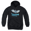 Image for Labyrinth Youth Hoodie - Title Sequence