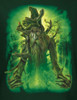 Image Closeup for Lord of the Rings Treebeard T-Shirt