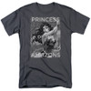 Image for Wonder Woman T-Shirt - Princess of the Amazons