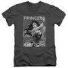 Image for Wonder Woman V Neck T-Shirt - Princess of the Amazons