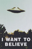 Image for X-Files Poster - I Want to Believe