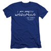 Image for Friends Premium Canvas Premium Shirt - I am Pretty Wisdomous
