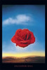 Image for Salvador Dali Poster - Meditative Rose