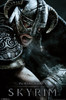 Image for Elder Scrolls V Poster - Aerial