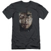 Image for Harry Potter Premium Canvas Premium Shirt - It All Ends Here