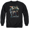 Image for Harry Potter Crewneck - Final Fight