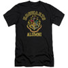 Image for Harry Potter Premium Canvas Premium Shirt - Hogwarts Alumni