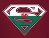 Image Closeup for Superman T-Shirt - Welsh Flag Shield