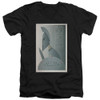 Image for Star Trek Juan Ortiz Episode Poster V Neck T-Shirt - Ep. 54 Bread and Circuses on Black