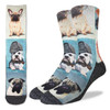 Image for Dashing Dogs Socks