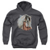 Image for Wild Wings Collection Youth Hoodie - Painted Horses