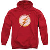The Flash TV Hoodie - Season 4 Logo