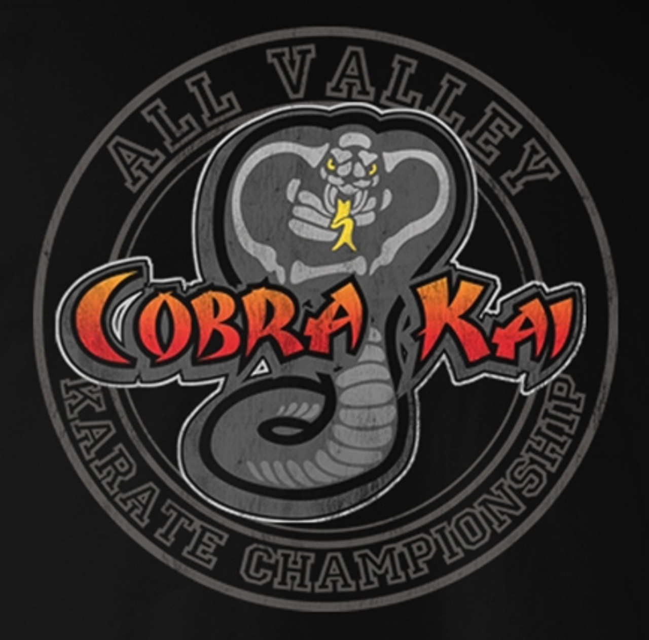 Cobra Kai - Metal Framed poster | Buy at Europosters