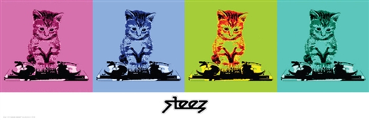 Steez Poster - DJ Kitty