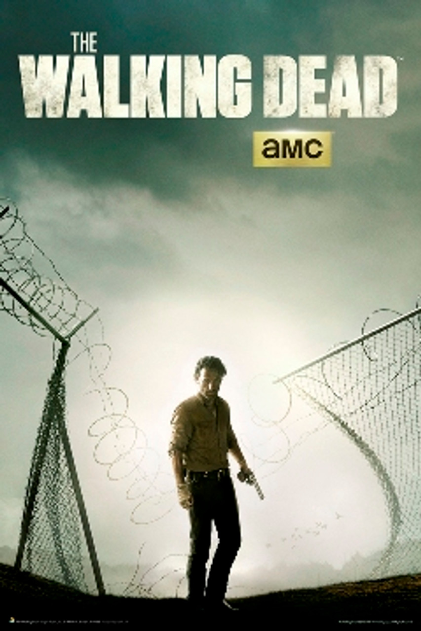 The Walking Dead Season 1 Key Art Premium Satin Poster – The