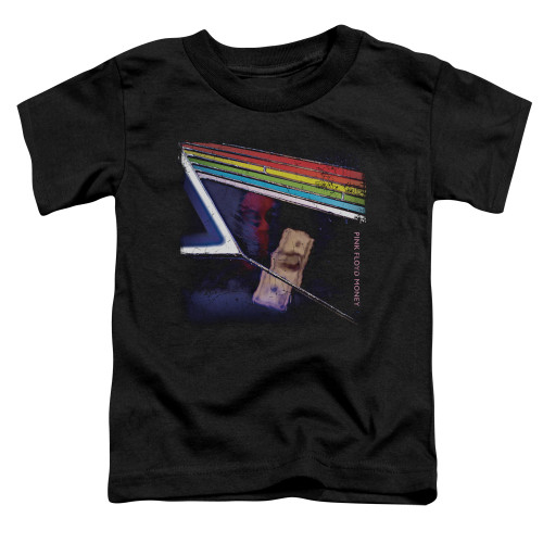 Image for Pink Floyd Money Toddler T-Shirt