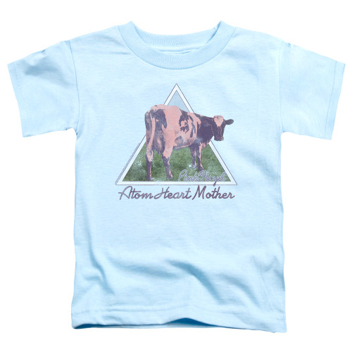 Image for Pink Floyd Atom Mother Hearth Pyramid Toddler T-Shirt