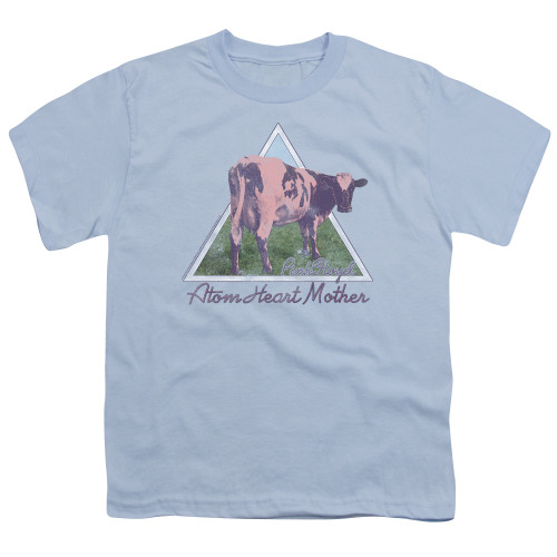 Image for Pink Floyd Youth T-Shirt - Atom Mother Hearth Pyramid