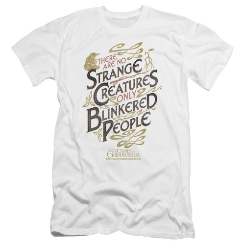 Image for Fantastic Beasts: the Crimes of Grindelwald Premium Canvas Premium Shirt - Blinkered People