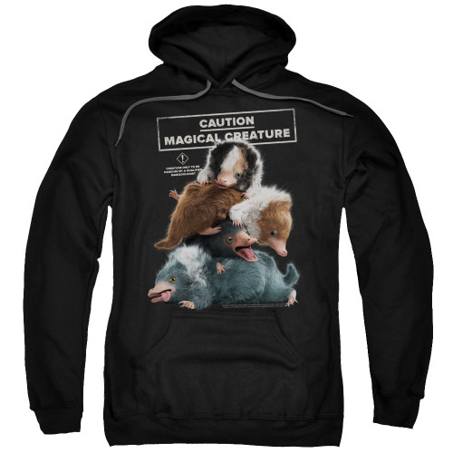 Image for Fantastic Beasts: the Crimes of Grindelwald Hoodie - Cuddle Puddle