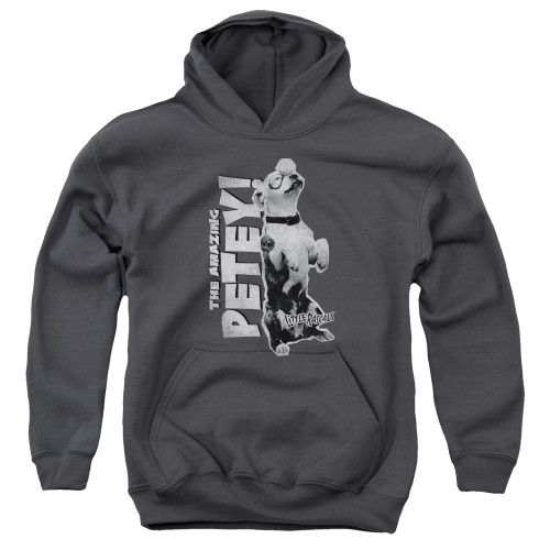 Image for The Little Rascals Youth Hoodie - Amazing Petey
