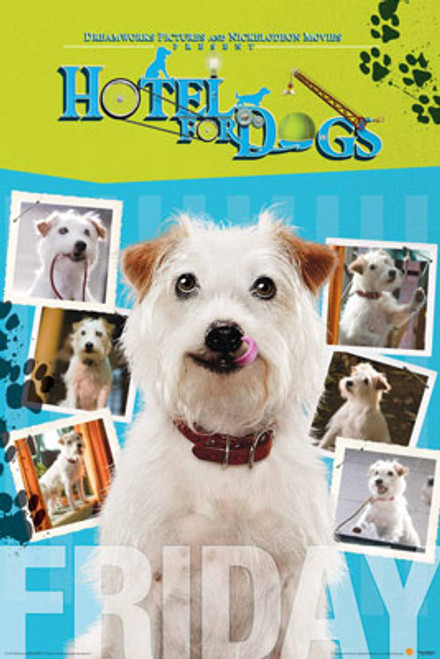 Hotel for Dogs Poster - TGIF