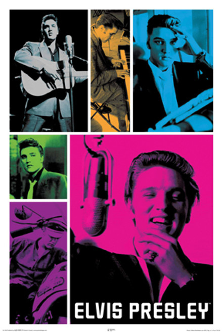 Elvis Poster - Colors