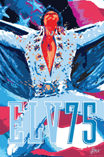 Elvis Poster - USA