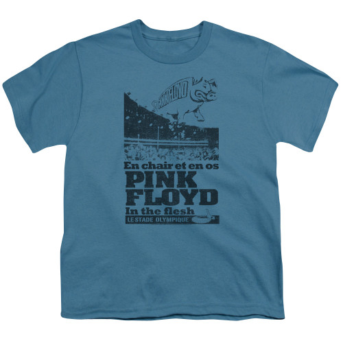 Image for Pink Floyd Youth T-Shirt - In the Flesh