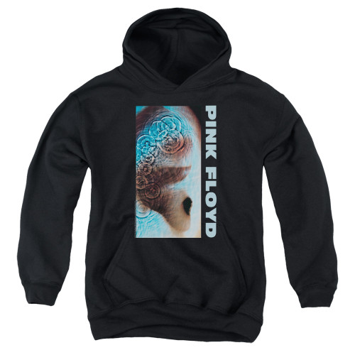 Image for Pink Floyd Youth Hoodie - Meddle